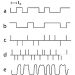 Audio Fig2 Audio Fig2
