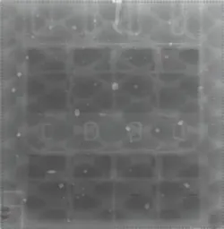 1112 Insp Fig2 1112 Insp Fig2