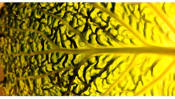 Electronicdesign Com Sites Electronicdesign com Files Uploads 2014 03 0414 Ed Eeditorial Fig1 Electronicdesign Com Sites Electronicdesign com Files Uploads 2014 03 0414 Ed Eeditorial Fig1