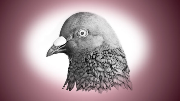 Powerelectronics 4338 0915pidge