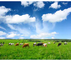 Electronicdesign Com Sites Electronicdesign com Files Uploads 2015 02 Cows Part 3 Electronicdesign Com Sites Electronicdesign com Files Uploads 2015 02 Cows Part 3