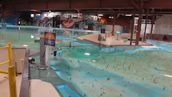 4. No, that is not junk floating around in the bottom of the model. The designers employed vertical copper strips spread throughout to properly simulate the proper hydraulic flow because liquid movement differs as the environment is scaled down. 4. No, that is not junk floating around in the bottom of the model. The designers employed vertical copper strips spread throughout to properly simulate the proper hydraulic flow because liquid movement differs as the environment is scaled down.