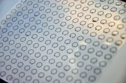 Www News Iastate Edu Media 2016 03 2 F40 648 Www News Iastate Edu Media 2016 03 2 F40 648