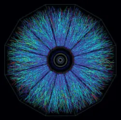 1606 Data Fig1 300x297 1606 Data Fig1 300x297