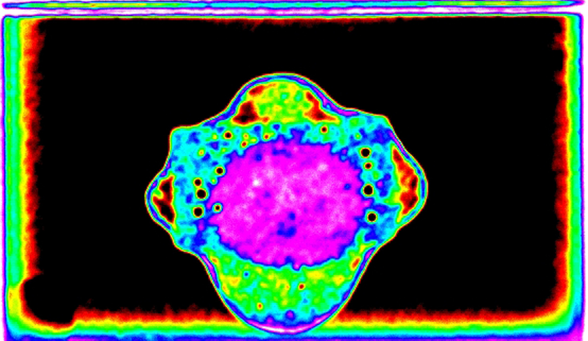 Powerelectronics 4211 Adams3