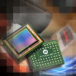 Python480 750x750px 300x300 Python480 750x750px 300x300