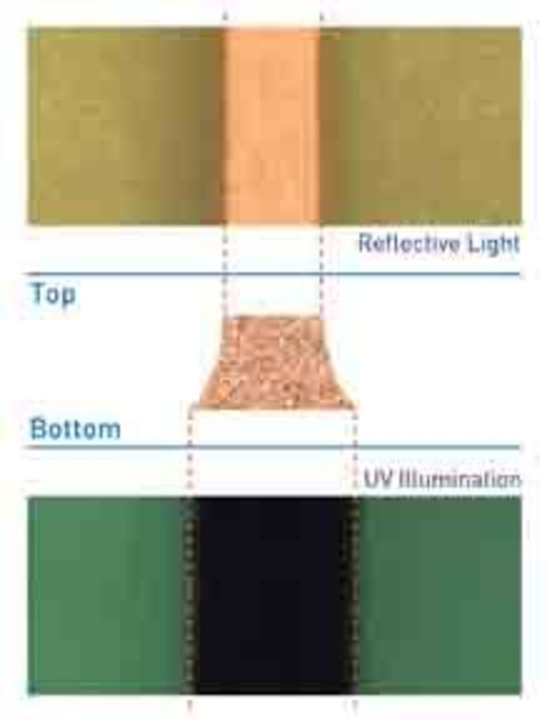 1807inspectionfig1 1