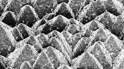 Www Powerelectronics Com Sites Powerelectronics com Files Perovskite Cell Fig Www Powerelectronics Com Sites Powerelectronics com Files Perovskite Cell Fig