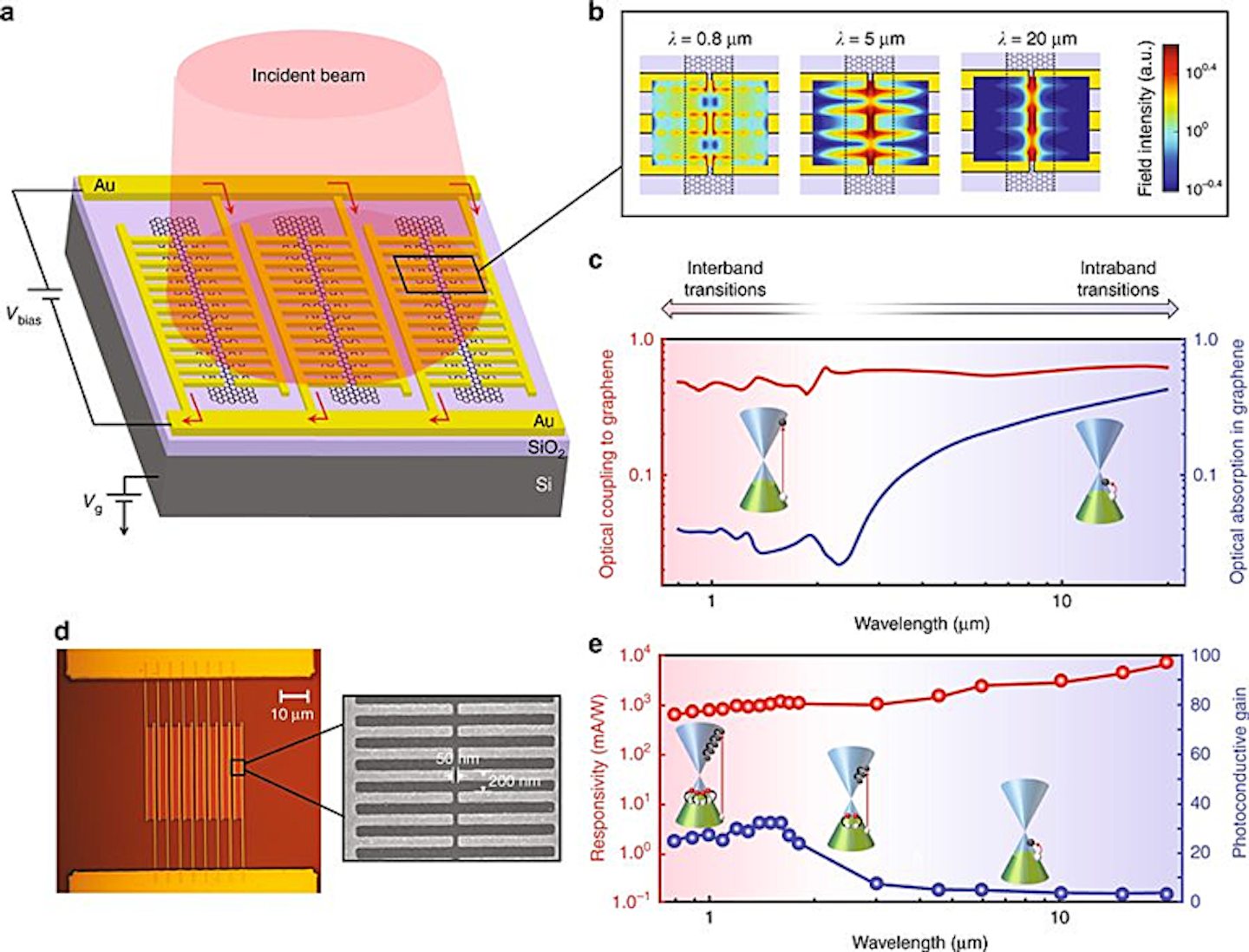 Graphene and Gold Merge to Deliver Superior Photodetector Electronic Design