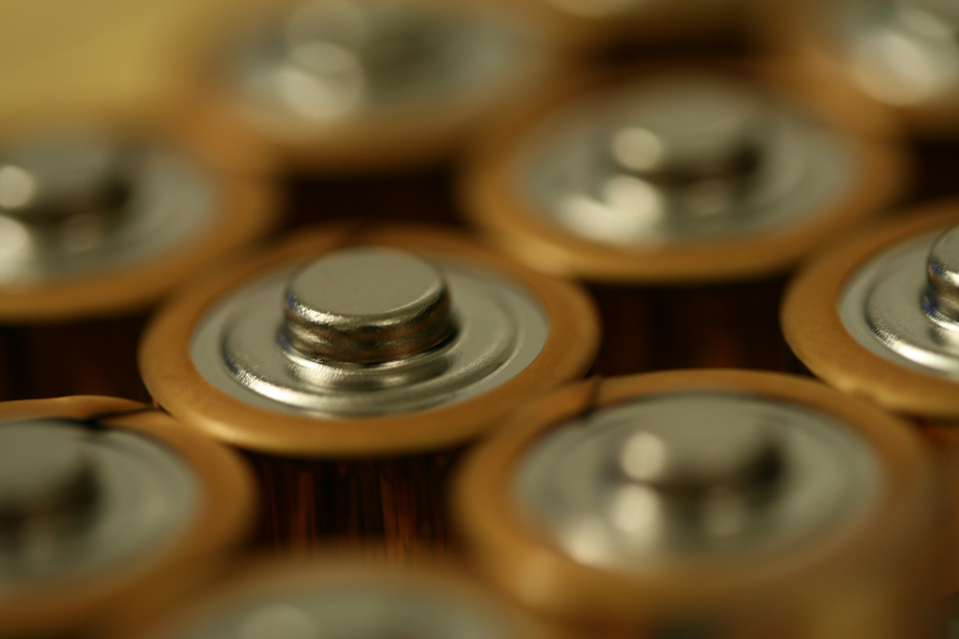 Image courtesy of Hilde Skjoslashlberg Creative Commons