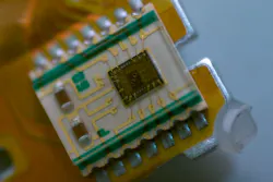 Image courtesy of Oliver Leitzgen Creative Commons Image courtesy of Oliver Leitzgen Creative Commons