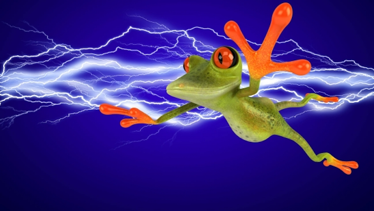 Frog Legs Probably Won T Charge Your Phone The Discovery Of