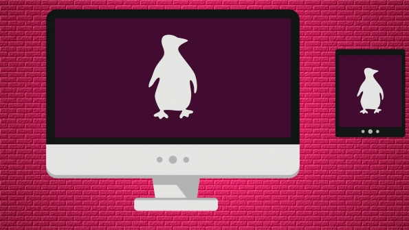 Differences between Linux types