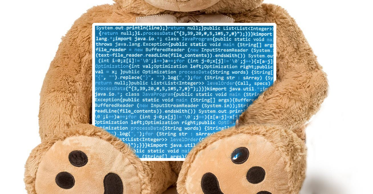 Teddy bear with code