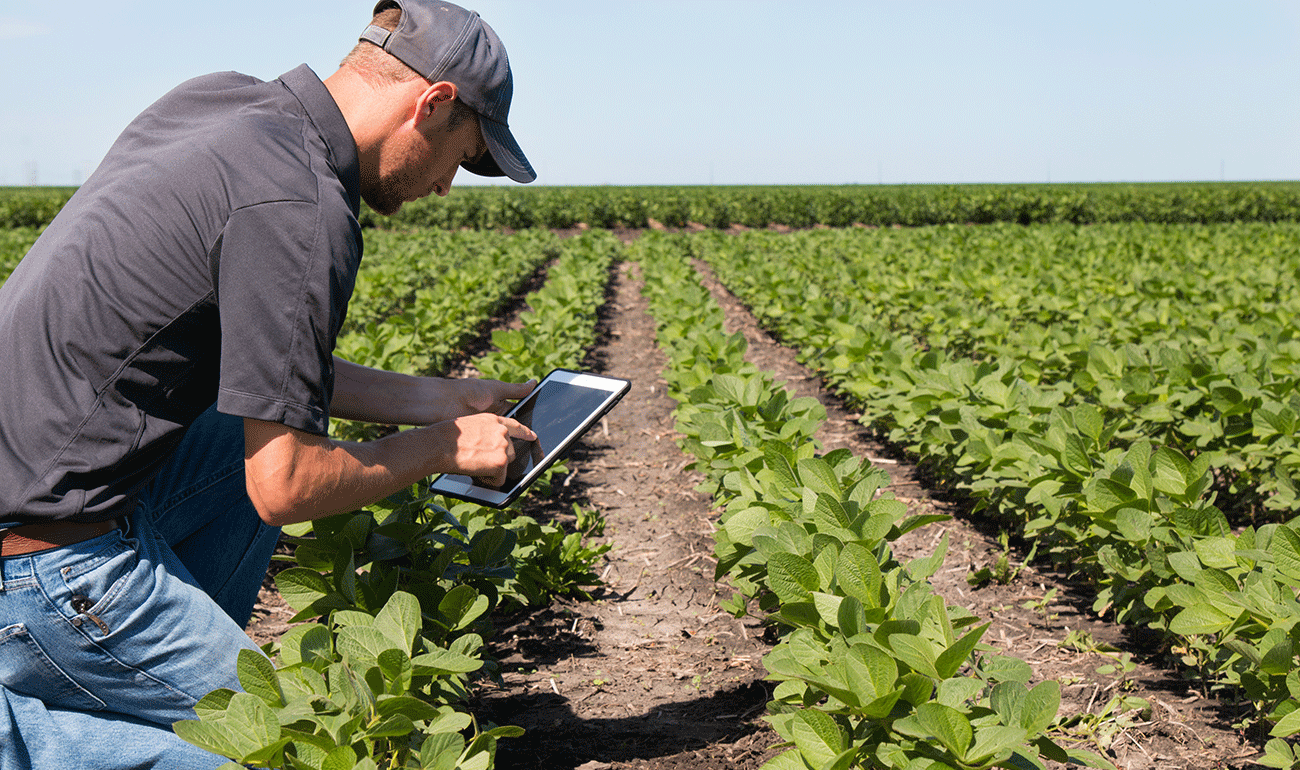 3 Ways the IoT Revolutionizes Farming