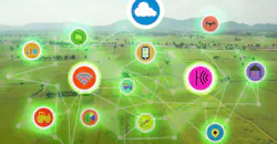 Chips cropping up Chips cropping up