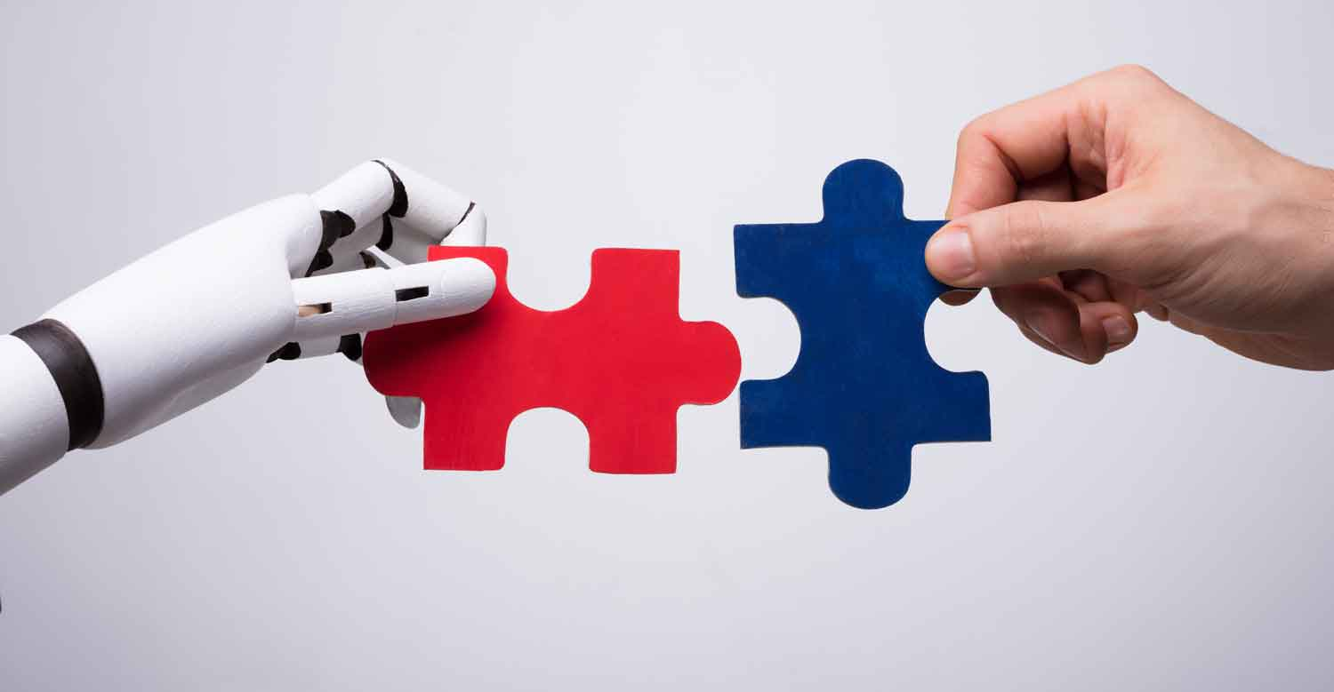Robot-human puzzle