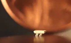 Bot2 5d3066ac3f782 Bot2 5d3066ac3f782