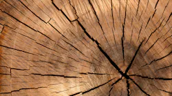 wood_promo.png wood_promo.png