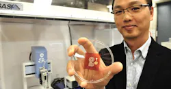 PROMO_ED_interest_wood_sensors_Fig1.jpg PROMO_ED_interest_wood_sensors_Fig1.jpg