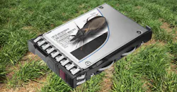 HP_SSD_Bug_Promo.jpg HP_SSD_Bug_Promo.jpg