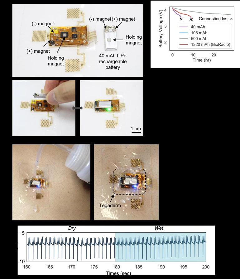 Stretchable Electronics, Polymer Layers Key to Wearable Multifunction ...