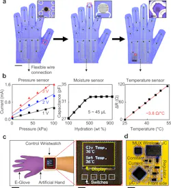 2. A series of optical images for a representative e-glove platform that contains multiple stacked arrays of sensor elements including pressure (left), moisture (middle), and temperature (right) sensors, scale bar is 25 mm; the inset images show an enlarged view of the embedded sensor elements, scale bars are 4 mm (left), 3 mm (middle) and 1 mm (right), respectively (a). Representative electrical characteristics of the embedded sensor elements as a function of externally applied stimuli (b). Optical images of a custom-built wristwatch unit connected to the e-glove system, scale bars are 6 cm (left) and 1 cm (right), respectively (c). Optical image of the embedded internal circuitry in the wristwatch unit, scale bar is 5 mm (d). (Source: Purdue University) 2. A series of optical images for a representative e-glove platform that contains multiple stacked arrays of sensor elements including pressure (left), moisture (middle), and temperature (right) sensors, scale bar is 25 mm; the inset images show an enlarged view of the embedded sensor elements, scale bars are 4 mm (left), 3 mm (middle) and 1 mm (right), respectively (a). Representative electrical characteristics of the embedded sensor elements as a function of externally applied stimuli (b). Optical images of a custom-built wristwatch unit connected to the e-glove system, scale bars are 6 cm (left) and 1 cm (right), respectively (c). Optical image of the embedded internal circuitry in the wristwatch unit, scale bar is 5 mm (d). (Source: Purdue University)