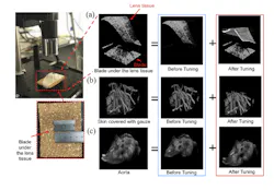 2. 3D high-SNR OCT imaging of samples with high-resolution topology: Images of the metal razor blade covered by the lens tissue (inset: a camera image of the experimental arrangement) (a); images of the skin sample covered with a gauze (b); images of the human aorta sample with high surface elevation (c). (Source: Columbia University) 2. 3D high-SNR OCT imaging of samples with high-resolution topology: Images of the metal razor blade covered by the lens tissue (inset: a camera image of the experimental arrangement) (a); images of the skin sample covered with a gauze (b); images of the human aorta sample with high surface elevation (c). (Source: Columbia University)