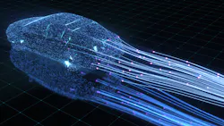 Ti 1536 Promo 5e582fdb5b4f5 Ti 1536 Promo 5e582fdb5b4f5