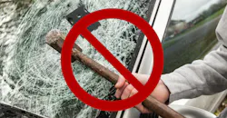 Tom Adams Promo 630040914 5e5d769c8e564 Tom Adams Promo 630040914 5e5d769c8e564