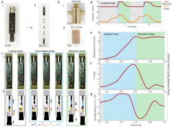 Ed Interest Sparker Fig3 Ed Interest Sparker Fig3