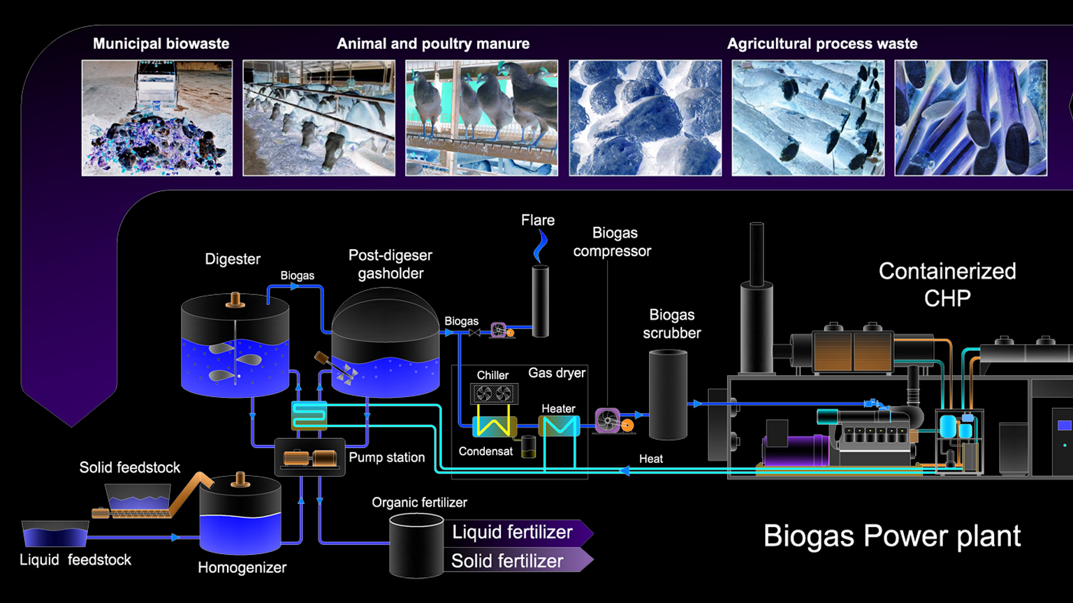 Goldberg Prom Onew 5f6514d5041f4