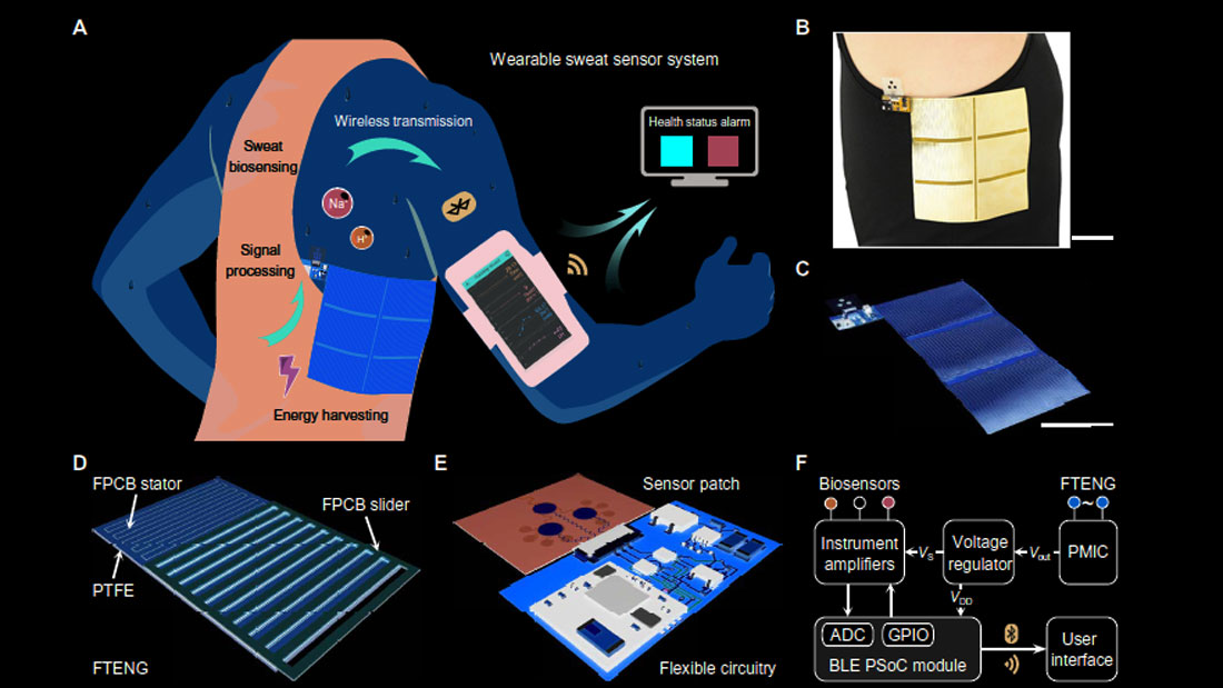 Promo Ed Tribo Harvest Sweat Interest Fig11 5fbe6d29266d0