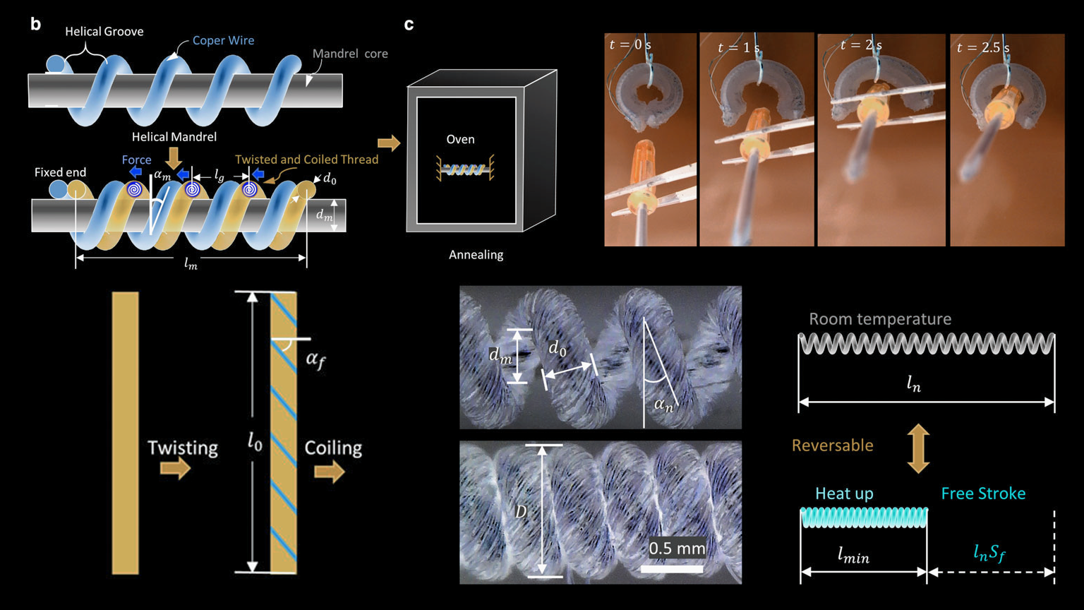 Schweber Promo 1 5fa5b83722ab8