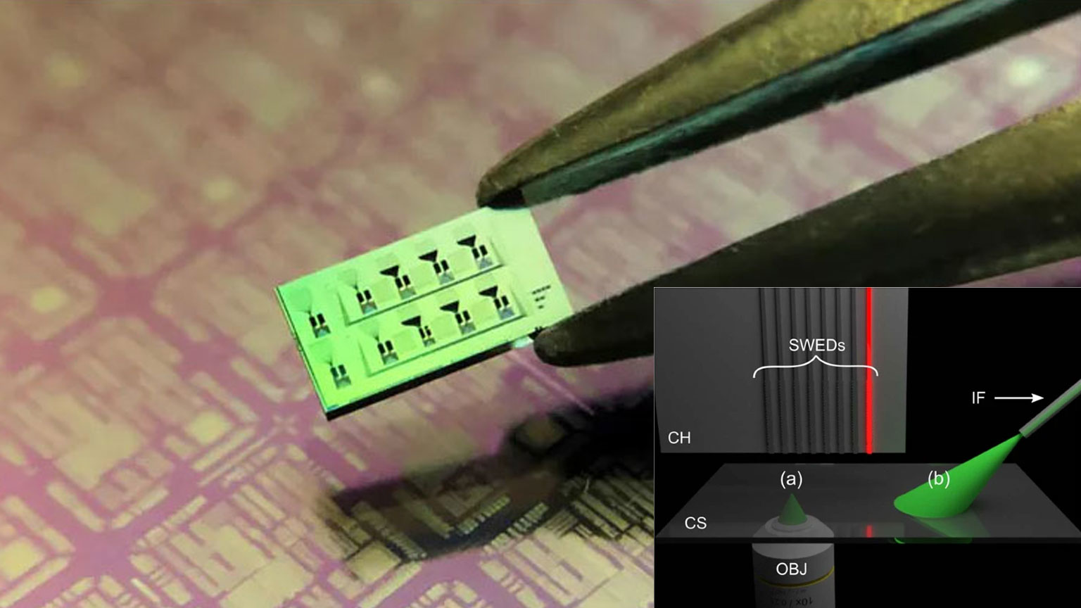 Prom Oschweber 1 60180bc12691c