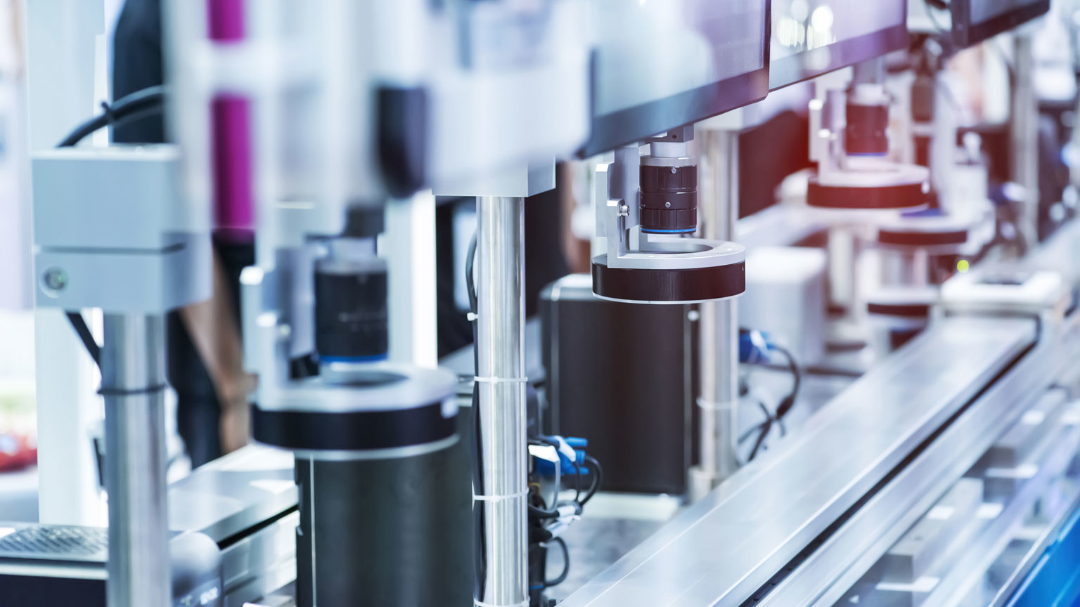 Dashark Dreamstime L 184164809