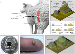 Ed Interest O2 Sensor Fig2 Ed Interest O2 Sensor Fig2