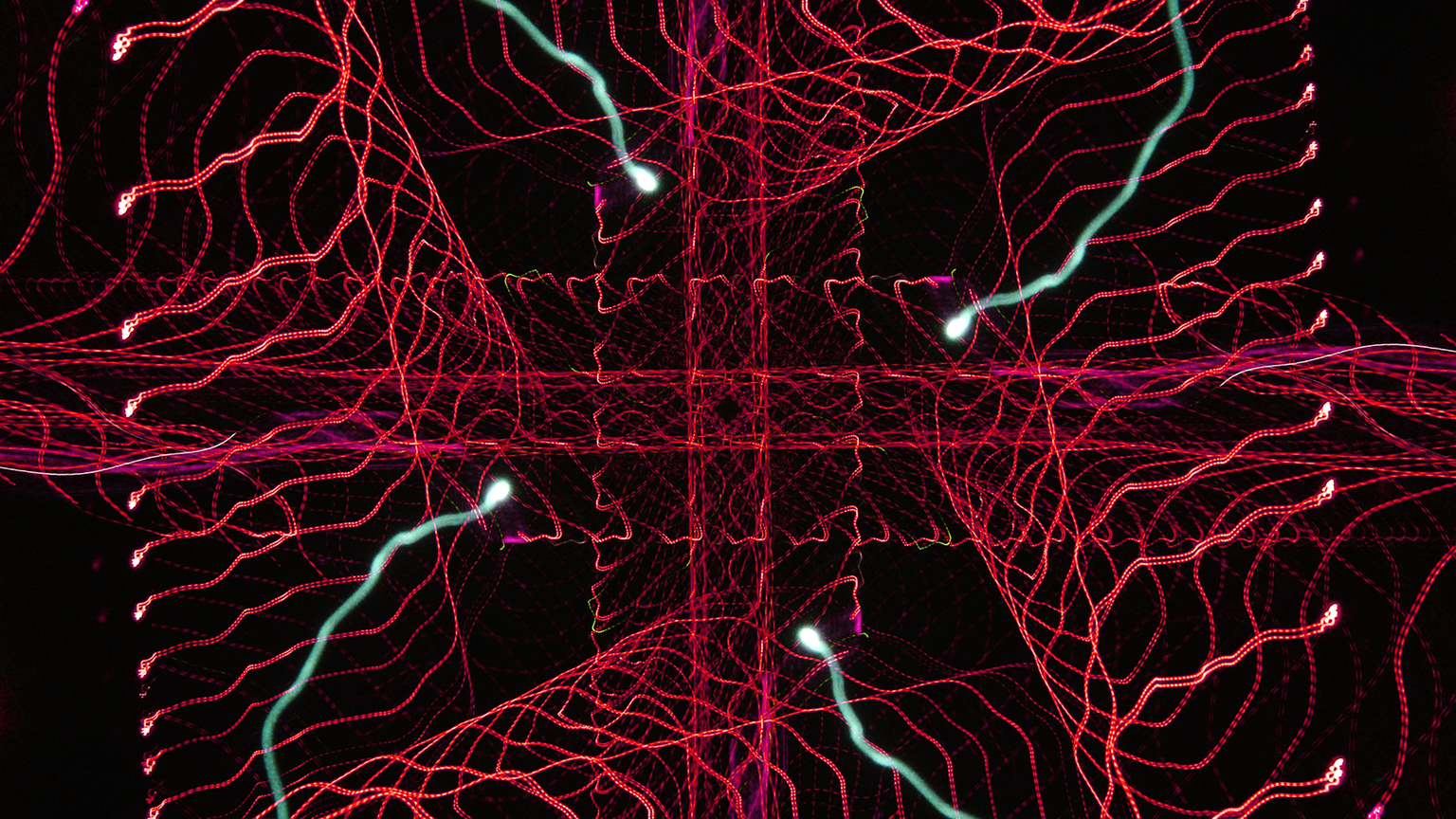 Radio Waves Promo 60d381e800f44