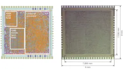 (Left) The die layout of PlasticARM, highlighting the Cortex-M CPU, ROM, and RAM, and (right) the die micrograph of PlasticARM. (Left) The die layout of PlasticARM, highlighting the Cortex-M CPU, ROM, and RAM, and (right) the die micrograph of PlasticARM.