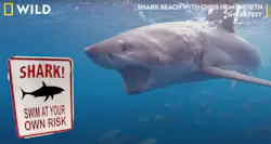 Sharks Promo New 60df5647849c7 Sharks Promo New 60df5647849c7