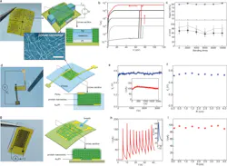Ed Interest Green Nanowires Fig1 Ed Interest Green Nanowires Fig1