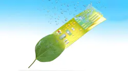 Ed Interest Green Nanowires Eye Candy 61116f2ed26d6 Ed Interest Green Nanowires Eye Candy 61116f2ed26d6