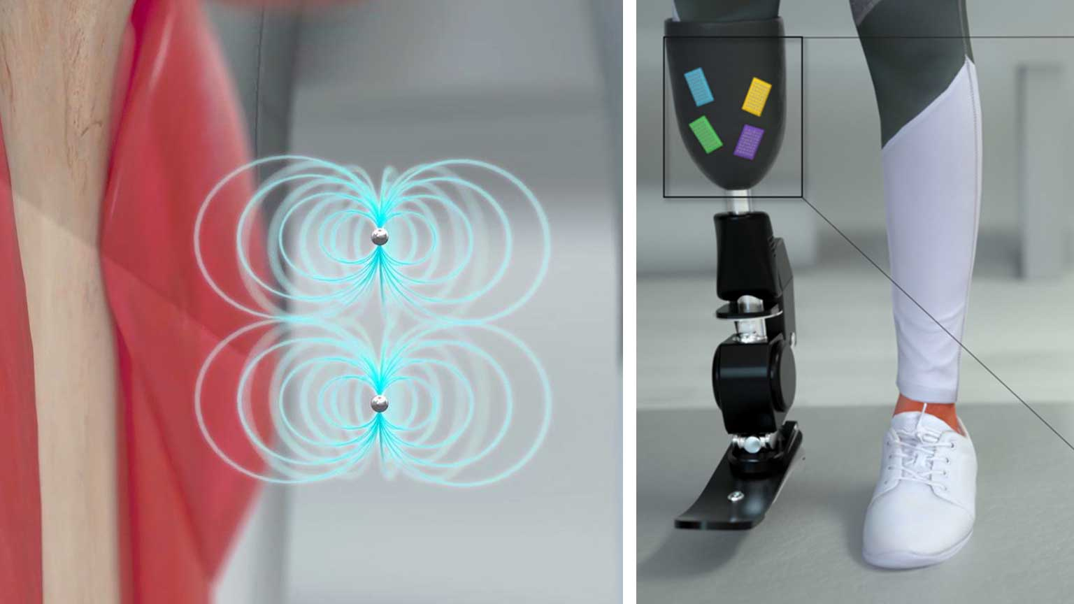 Eye Candybase Promo 615339a282d22