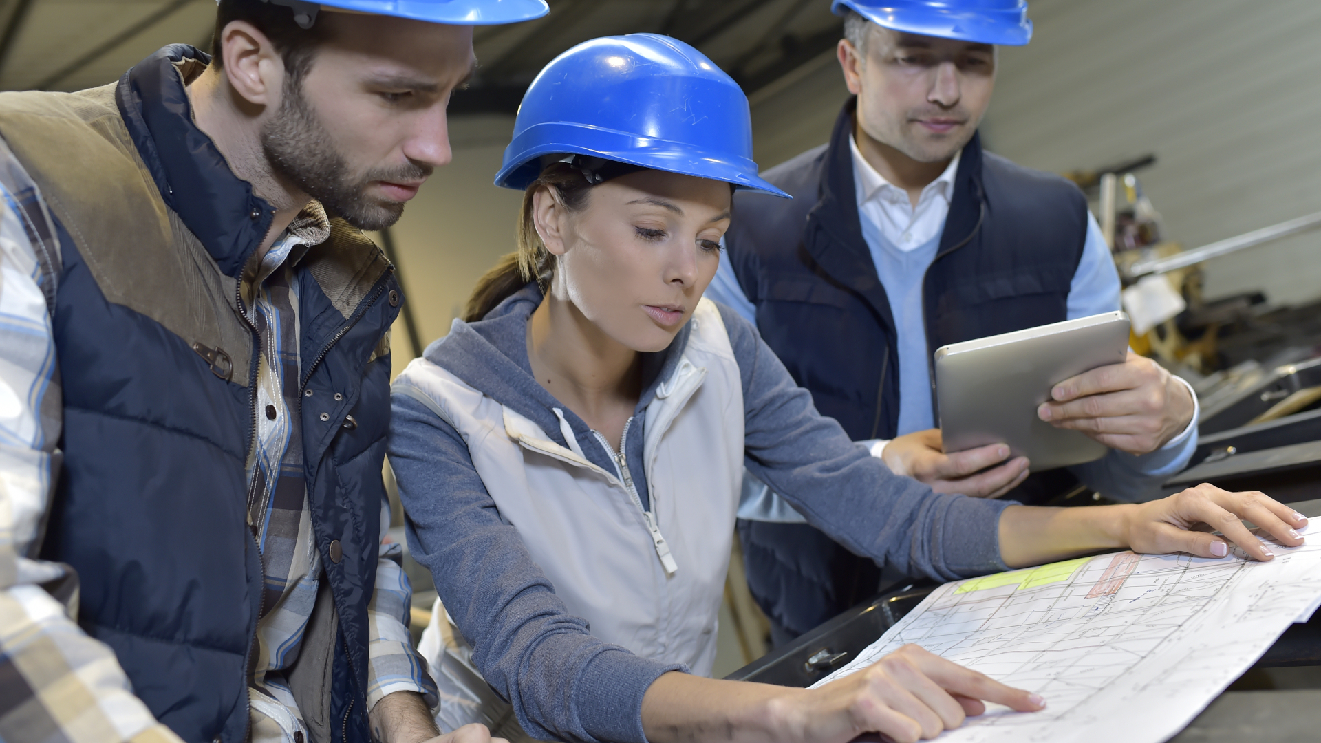 Md Wise Promo Dreamstime Xxl 49551348