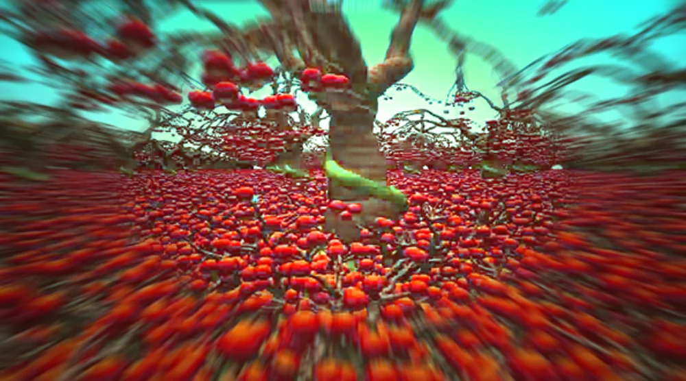 Wt D Ray Tracing 6182da0bdb209