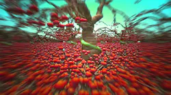 Wt D Ray Tracing 6182da0bdb209 Wt D Ray Tracing 6182da0bdb209