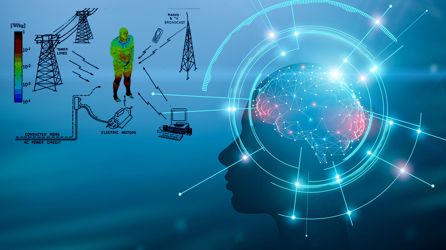 Brain Milkos Dreamstime L 148999056 Promo 61c24a7aa5e40