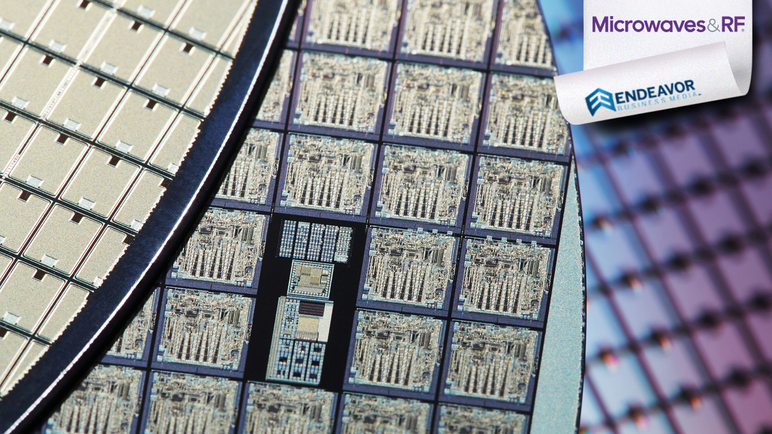 Mw tag (1) Copy Copy Copy