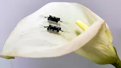 Ed Interest Aerial Micromotor Eye Candy 61d46614cd36a Ed Interest Aerial Micromotor Eye Candy 61d46614cd36a