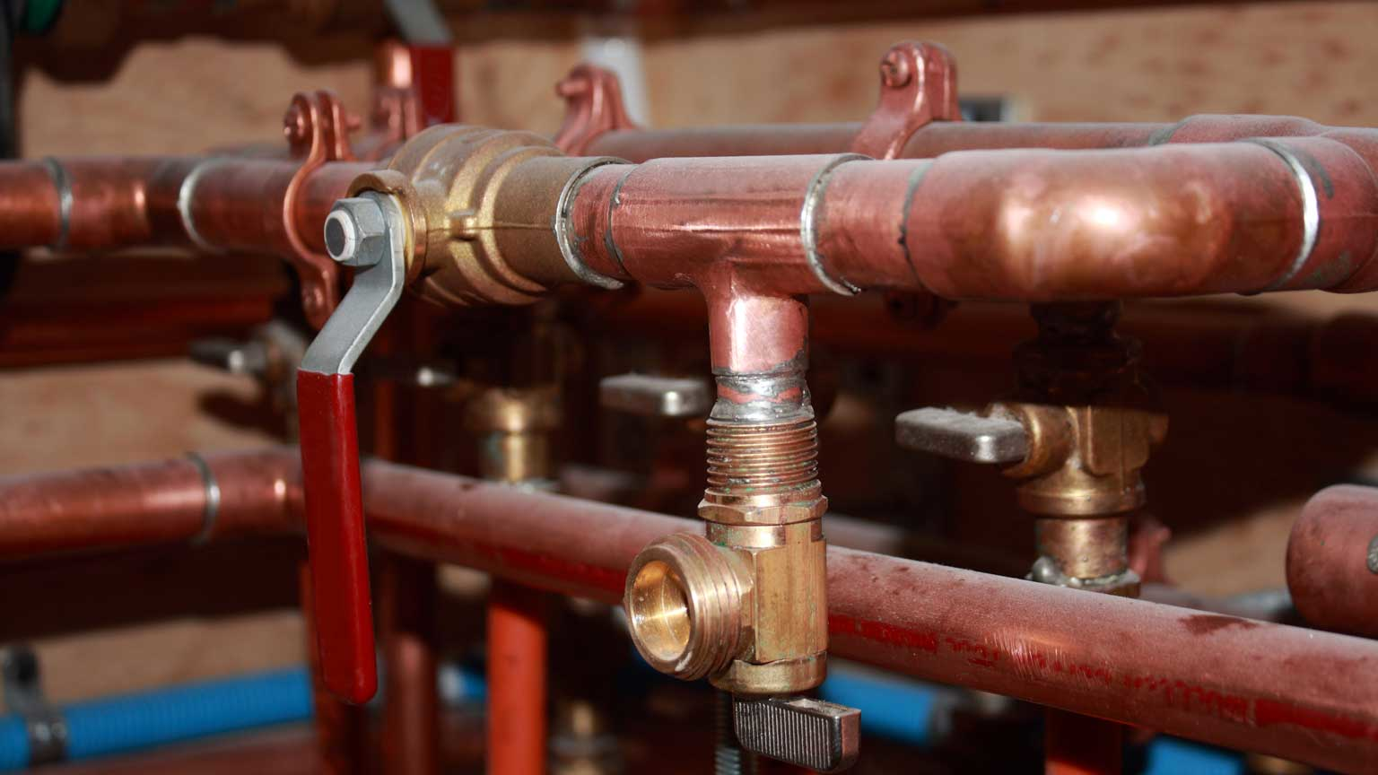 Dreamstime L 36833670